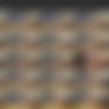 The Candid Forum - Sports Greatest Hits/Screens