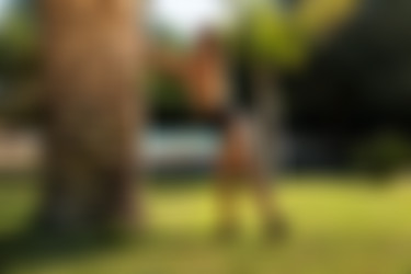 [photodromm.com] 2018-12/[photodromm.com] - 2018.12.24 - Justyna - In The Garden Of Dreams II (x46) 2000x3000/05l.jpg