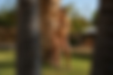 [photodromm.com] 2018-12/[photodromm.com] - 2018.12.24 - Justyna - In The Garden Of Dreams II (x46) 2000x3000/17l.jpg