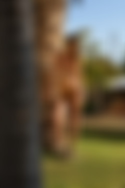 [photodromm.com] 2018-12/[photodromm.com] - 2018.12.24 - Justyna - In The Garden Of Dreams II (x46) 2000x3000/18l.jpg
