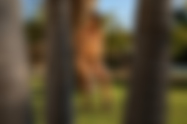 [photodromm.com] 2018-12/[photodromm.com] - 2018.12.24 - Justyna - In The Garden Of Dreams II (x46) 2000x3000/20l.jpg