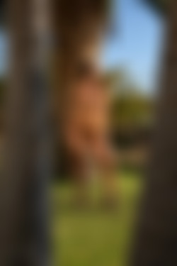 [photodromm.com] 2018-12/[photodromm.com] - 2018.12.24 - Justyna - In The Garden Of Dreams II (x46) 2000x3000/22l.jpg