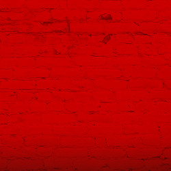 Strays.2023.COMPLETE.BLURAY-OPTiCAL