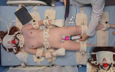 CinematicKink Pack/cover/cmt_Wendy_asylum_export_1.mp4-.jpg