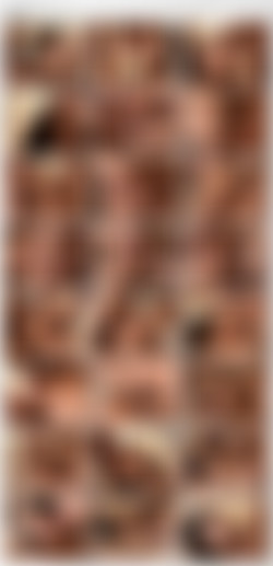 Gangbang Auditions 9 [DVD9]/_screens/VTS_02_3.VOB_thumbs.jpg