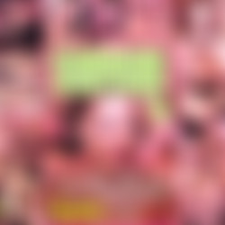 Gangbang Auditions 9 [DVD9]