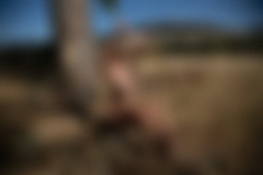 2022phdee/2022-05/[photodromm] 2022-05-14 Brenda - The Farmer (x46, 3000 px)/The Farmer (41).jpg