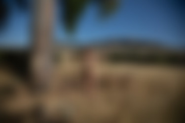2022phdee/2022-05/[photodromm] 2022-05-14 Brenda - The Farmer (x46, 3000 px)/The Farmer (44).jpg
