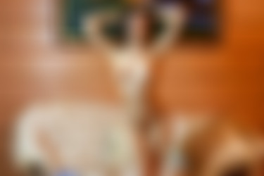 [photodromm.com] 2018-04/[photodromm.com] - 2018.04.04 - Melanie - The Boudoir (x50) 2000x3000/30l.jpg