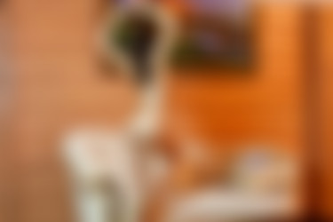 [photodromm.com] 2018-04/[photodromm.com] - 2018.04.04 - Melanie - The Boudoir (x50) 2000x3000/50l.jpg