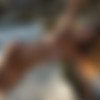 2022phdee/2022-08/[photodromm] 2022-08-06 Shaky - The Shore (x46, 3000 px)