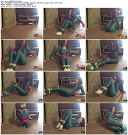 SpandexAdventures.com/scr/sa_v_100515076.jpg