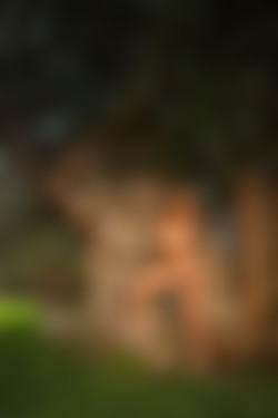 [photodromm.com] 2015-01/[photodromm.com] - 2015.01.26 - Dana - The Tree Of Beauty II (x46) 1333x2000/01l.jpg