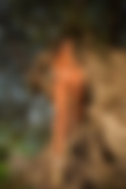 [photodromm.com] 2015-01/[photodromm.com] - 2015.01.26 - Dana - The Tree Of Beauty II (x46) 1333x2000/12l.jpg