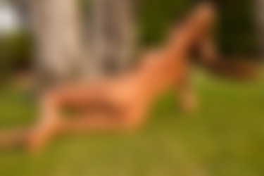[photodromm.com] 2015-11/[photodromm.com] - 2015.11.08 - Tyrene - At The Big Tree (x46) 2000x3000/41l.jpg