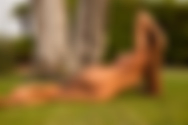 [photodromm.com] 2015-11/[photodromm.com] - 2015.11.08 - Tyrene - At The Big Tree (x46) 2000x3000/42l.jpg