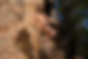 [photodromm.com] 2016-06/[photodromm.com] - 2016.06.26 - Nici - Summer Prelude II (x46) 2000x3000/24l.jpg