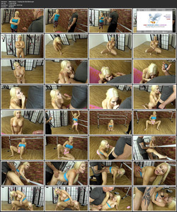 Primal Fetish Network 2of2/2 - 3of4/2 - 3of4 SCREENS/Nikki Delano - Training the Rich Bitch.mp4.jpg