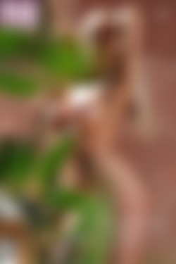 [photodromm.com] 2017-11/[photodromm.com] - 2017.11.20 - Yasmin - Legally Blonde II (x46) 2000x3000/Cover.jpg