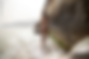 2022phdee/2022-02/[photodromm] 2022-02-04 Madelyn - Ramen X (x46, 3000 px)/Ramen X (28).jpg