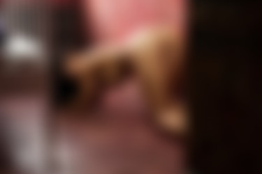 [photodromm.com] 2016-05/[photodromm.com] - 2016.05.04 - Kendra - The Red Tales (x50) 2000x3000/49l.jpg