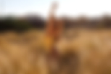 [photodromm.com] 2017-09/[photodromm.com] - 2017.09.18 - Brittie - The Golden Touch II (x46) 2000x3000/01l.jpg
