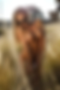 [photodromm.com] 2017-09/[photodromm.com] - 2017.09.18 - Brittie - The Golden Touch II (x46) 2000x3000/07l.jpg