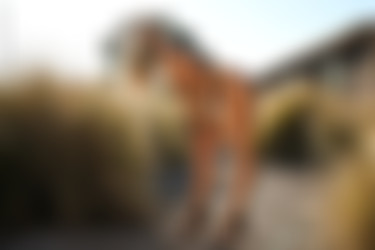 [photodromm.com] 2017-09/[photodromm.com] - 2017.09.18 - Brittie - The Golden Touch II (x46) 2000x3000/19l.jpg