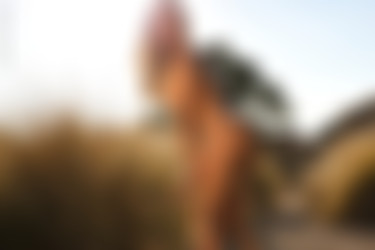 [photodromm.com] 2017-09/[photodromm.com] - 2017.09.18 - Brittie - The Golden Touch II (x46) 2000x3000/21l.jpg