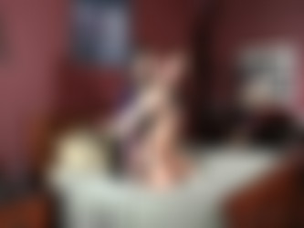 paintoy.com/henna3v1.wmv