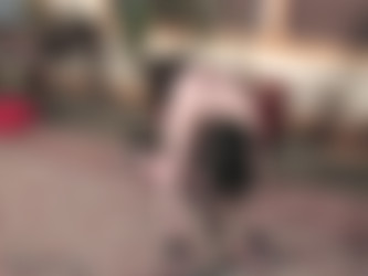 paintoy.com/Fawn1_all.wmv