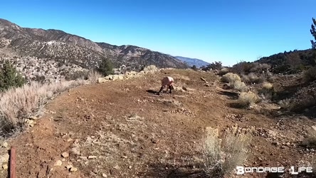 BondageLife 2020 LiveCam/Livecam_02-19-2020_Working_In_Sun.mp4