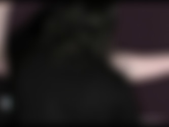 paintoy.com/fireflvid1_all.wmv