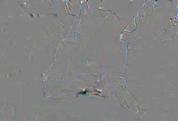 Streetblowjobs/Alyssa_big.wmv