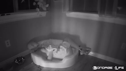 BondageLife 2020 LiveCam/Livecam_01-30-2020_Sleep.mp4