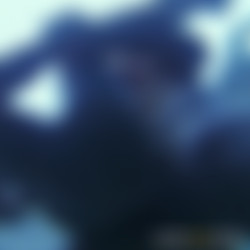 Back in the Day We Used to Swap.mp4